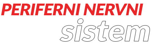 sitemul-nervos-periferic